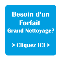presqu'ile service, presqu'ile services, service, services, personne, personnes, Services à la Personne, nettoyage, menage, repassage, aide à domicile, aide, menagere, aide menagere, La Madeleine, 44350